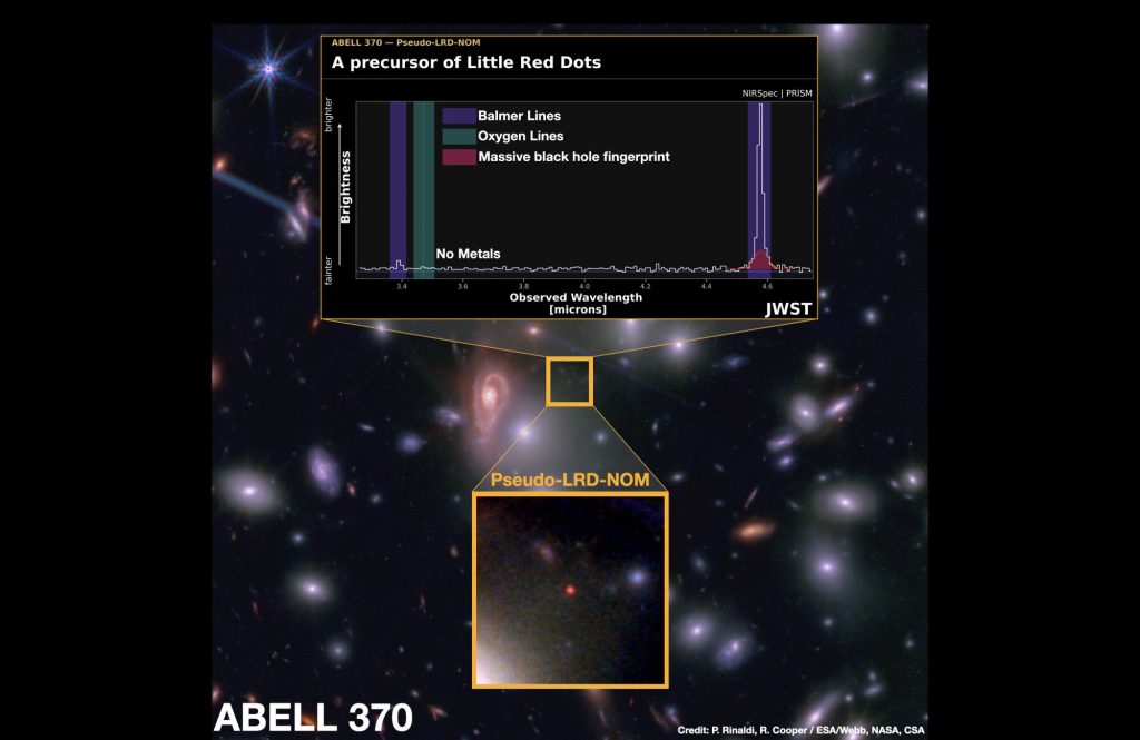 Astronomers find an enigmatic source that is most likely a Little Red Dot in formation